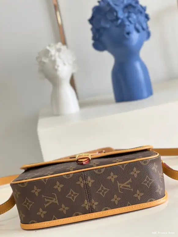 AAA Pruses Bags VUITTON SOLOGNE VINTAGE LOUIS 0524